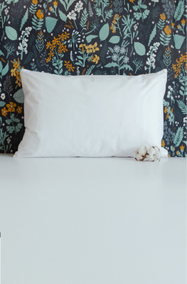 Oreiller Coton BIO 40x60 Kadolis