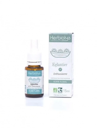 Wild rose Eglantier n°37 - Enthousiasme  Bio aux fleurs de Bach 15 ml - Herbiolys