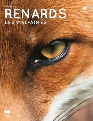 Renards - Les mal-aimés - Grand Format Pierre Rigaux Delachaux