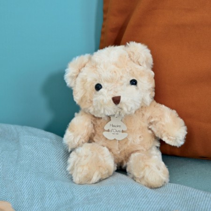 OURS CALIN 21 cm MIEL Histoire d'ours