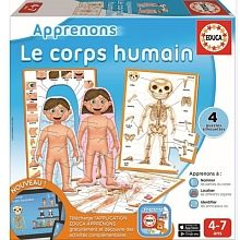 Le corps humain Educa