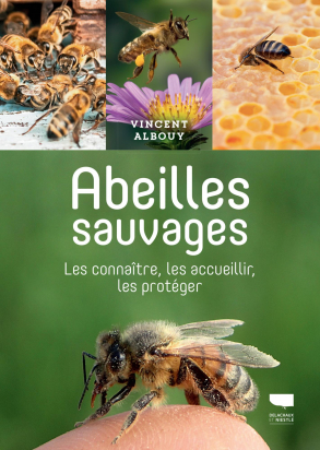 Abeilles sauvages Vincent Albouy Delachaux