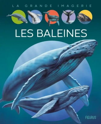 La grande imagerie Les baleines Fleurus