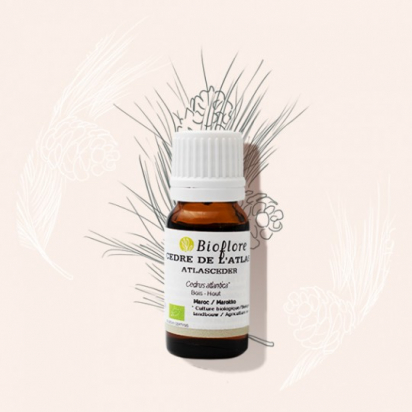 Cèdre de l'Atlas 10ml ( Cedrus Atlantica bio certisys ) - Bioflore