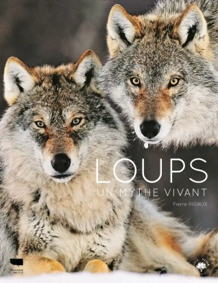 Loups - Un mythe vivant - Grand Format Pierre Rigaux Delachaux