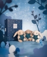 DOUDOU ASTRO Scorpion - 12 cm Doudou et compagnie