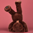Ours en peluche Clémentin Marron Chocolat - 60 cm Histoire d'ours