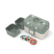 Bento Tresor vert Raccoon Monbento