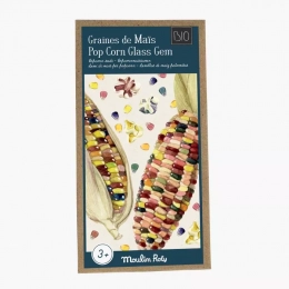 Graines de Maïs pop corn Bio Le jardin du moulin Moulin roty