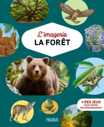 L’imagerie de la forêt – documentaire nature dès 6 ans – Fleurus