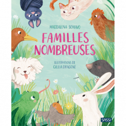 Albums illustrés-Familles nombreuses Sassi