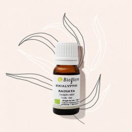Eucalyptus radié 10 ml ( Eucalyptus radiata ) - Bioflore