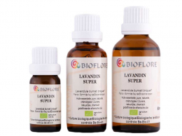 Lavandin Clone Super 50 ml Lavandula hybrida ou Lavandula burnati Briquet  bio certisys Bioflore