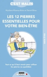 Les 12 pierres essentielles pour votre bien-être Daniel Briez, Wydiane Khaoua-Briez