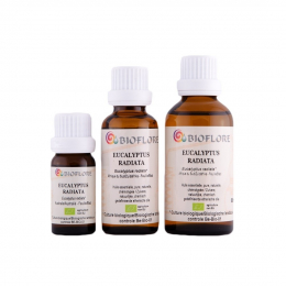 Eucalyptus radié 50 ml ( Eucalyptus radiata ) - Bioflore
