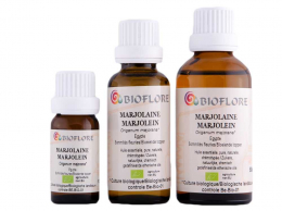 Marjolaine des jardins ou à coquilles bio Bioflore