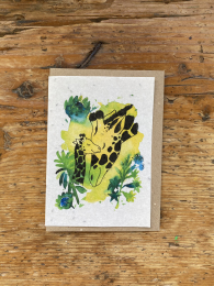 Carte à planter naissance - Girafes - Les cartes de Lulu